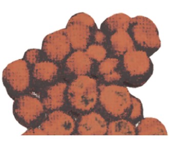 Πομ πομ 1εκ. καφέ 100 τεμάχια