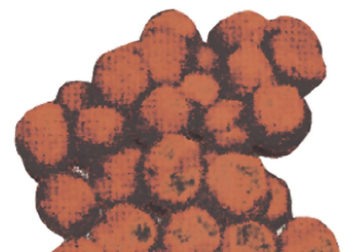 Πομ πομ 3εκ. καφέ 100 τεμάχια Πομ πομ 3εκ. καφέ 100 τεμάχια