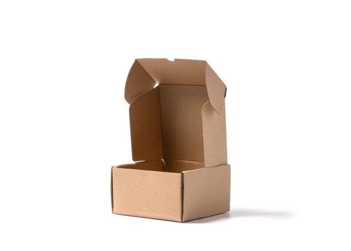 Κουτί αποστολής courier με πτερύγια Υ8,5x16x15εκ. Δυνατότητα εκτύπωσης Κουτί αποστολής courier με πτερύγια Υ8,5x16x15εκ. Δυνατότητα εκτύπωσης