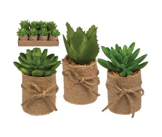 Γλαστράκια με τεχνητά παχύφυτα σε 3 σχέδια Υ10x5εκ.