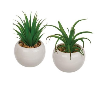 Γλαστράκια με τεχνητά παχύφυτα σε 2 σχέδια Y16x9.5εκ.