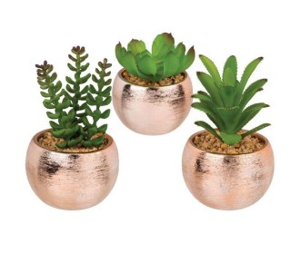 Γλαστράκια με τεχνητά παχύφυτα σε 3 σχέδια 10 xΥ18εκ.