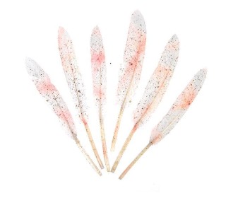 Φτερά χήνας με ροζ χρωματισμούς, 15-17 εκ., 6τεμ. σε blister