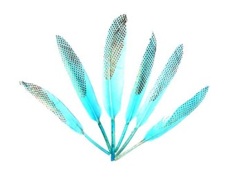 Φτερά χήνας με γαλάζιους χρωματισμούς, 15-17 εκ., 6τεμ. σε blister