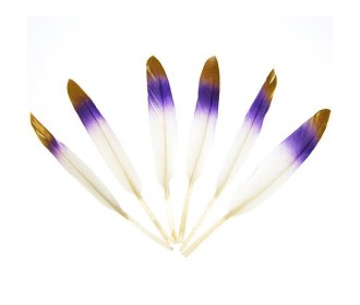 Φτερά χήνας με μπλε-κίτρινους χρωματισμούς, 15-17 εκ., 6τεμ. σε blister