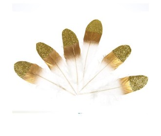 Φτερά χήνας με χρυσούς χρωματισμούς, 17-19 εκ., 6τεμ. σε blister Φτερά χήνας με χρυσούς χρωματισμούς, 17-19 εκ., 6τεμ. σε blister