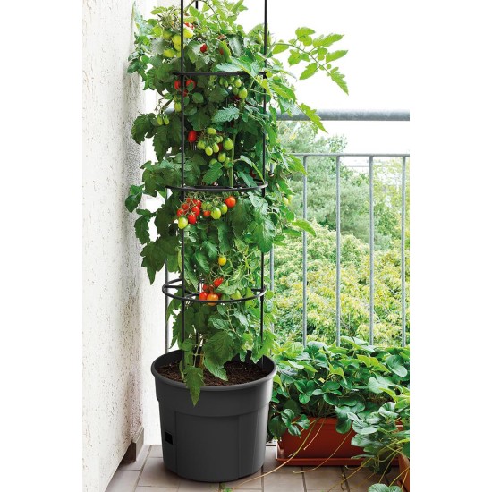 Γλαστράκι Tomato Grower, Y31,5x∅39,2εκ Γλαστράκι Tomato Grower, Y31,5x∅39,2εκ