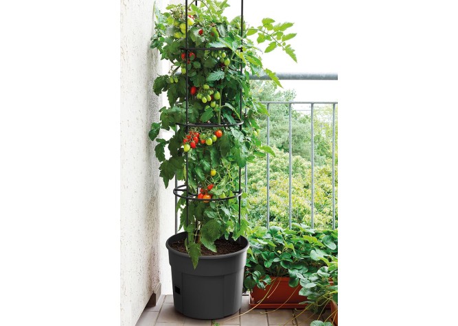 Γλαστράκι Tomato Grower, Y31,5x∅39,2εκ Γλαστράκι Tomato Grower, Y31,5x∅39,2εκ