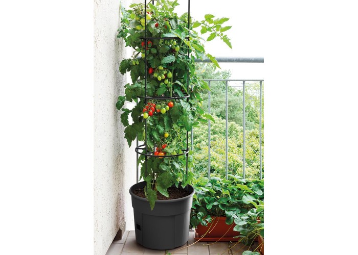 Γλαστράκι Tomato Grower, Y31,5x∅39,2εκ Γλαστράκι Tomato Grower, Y31,5x∅39,2εκ