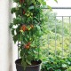 Γλαστράκι Tomato Grower, Y31,5x∅39,2εκ