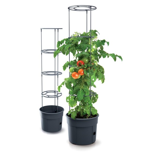 Γλαστράκι Tomato Grower, Y31,5x∅39,2εκ Γλαστράκι Tomato Grower, Y31,5x∅39,2εκ