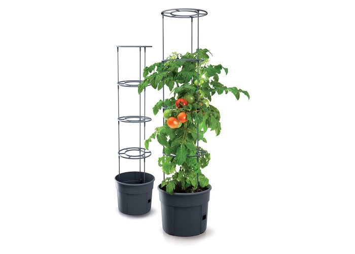 Γλαστράκι Tomato Grower, Y31,5x∅39,2εκ Γλαστράκι Tomato Grower, Y31,5x∅39,2εκ