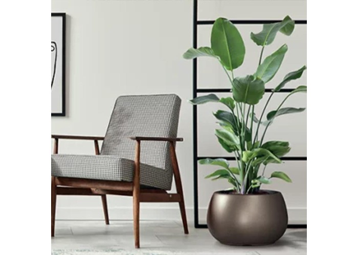 Γλάστρα - κασπώ Heos eco coffee Y23xΦ37εκ.