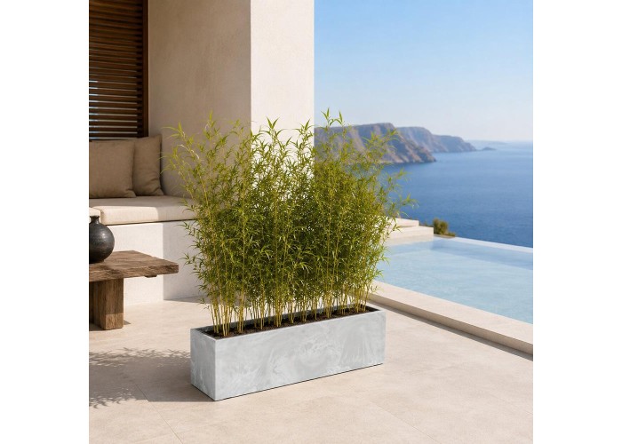 Ζαρντινιέρα ανοιχτό γκρι beton effect Y19,5x58x18εκ.