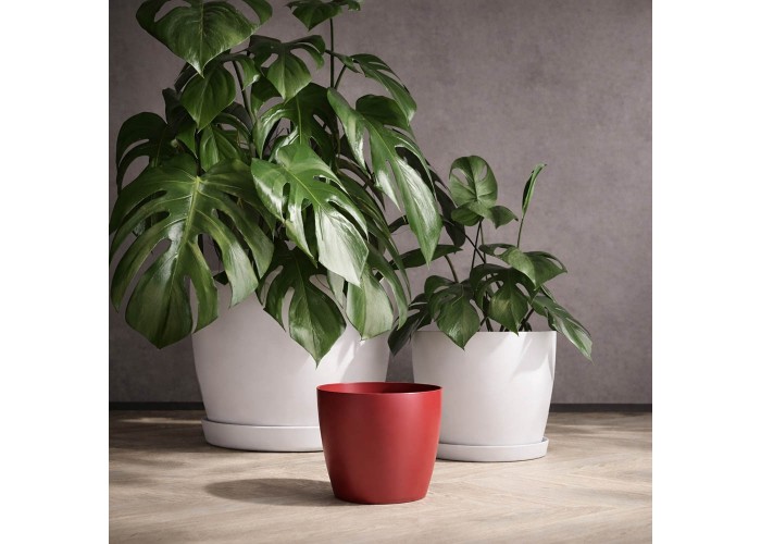 Κασπώ Regula κόκκινο Y13,2xΦ15,8εκ.