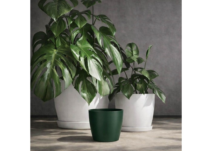 Κασπώ Regula πράσινο Y13,2xΦ15,8εκ.