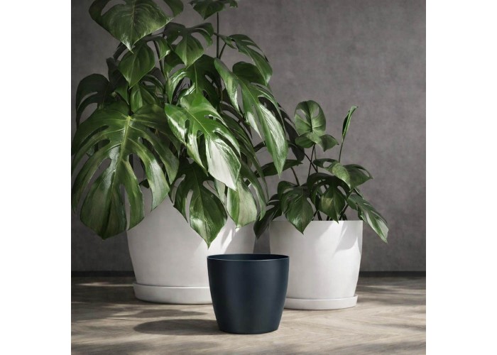 Κασπώ Regula μαύρο Y13,2xΦ15,8εκ.