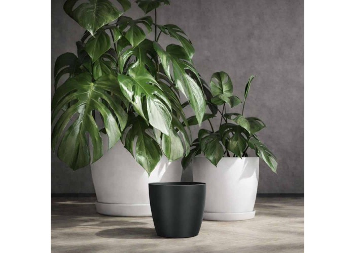 Κασπώ Regula ανθρακί Y13,2xΦ15,8εκ.