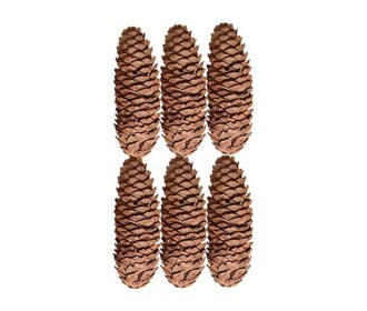 Χριστουγεννιάτικα διακοσμητικά κουκουνάρια 10-11εκ. 6τμχ.