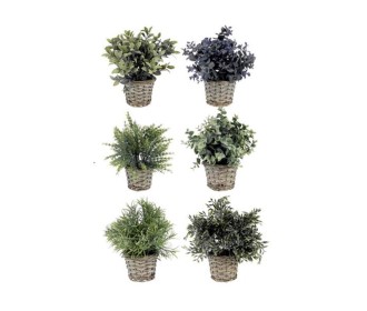 Διακοσμητικό φυτά με γλαστράκι rattan, 28εκ σε 6 διάφορα σχέδια