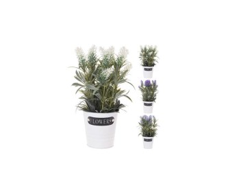 Λεβάντα σε μεταλλικό γλαστράκι 29εκ. κοκτέηλ  4 χρωμάτων