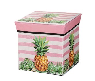 Κουτί αποθήκευσης ανανάς Υ30x30x30εκ. T