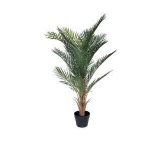 Φοινικόδεντρο τεχνητό Nextdeco Υ1,2μ, με 16 PE φύλλα. σε μαύρη γλάστρα Ø15εκ. Φοινικόδεντρο τεχνητό Nextdeco Υ1,2μ, με 16 PE φύλλα. σε μαύρη γλάστρα Ø15εκ.
