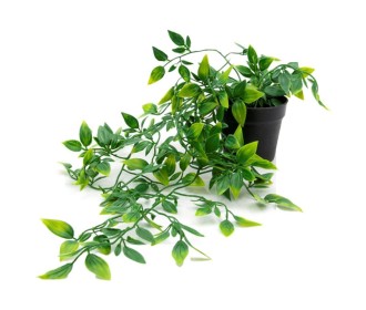 Πόθος κρεμαστός τεχνητός Nextdeco Υ42εκ., σε μαύρη γλάστρα Ø11εκ. Πόθος κρεμαστός τεχνητός Nextdeco Υ42εκ., σε μαύρη γλάστρα Ø11εκ.