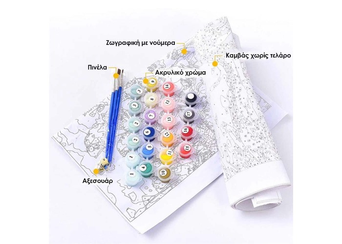 Ζωγραφική με αριθμούς σε καμβά πρόσωπο 40x50εκ.