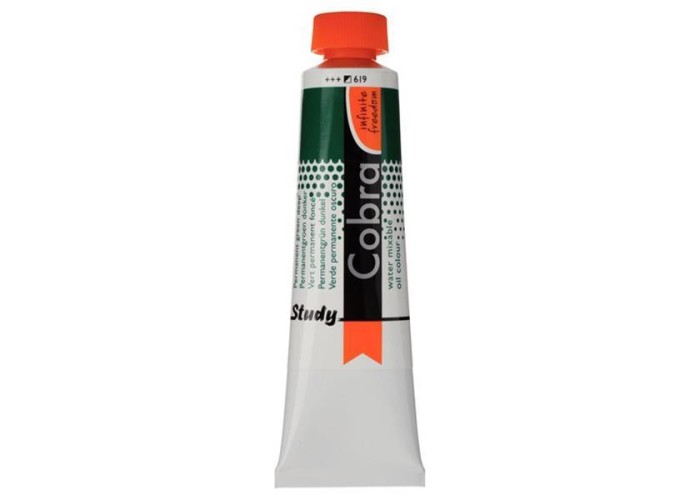 Talens Cobra Study water mixable oil 619 permanent green deep 40ml. Talens Cobra Study water mixable oil 619 permanent green deep 40ml.