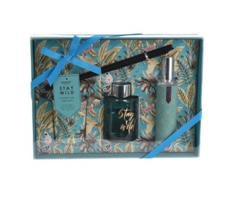 Αρωματικό χώρου σετ δώρου Αρωματικό χώρου σετ δώρου