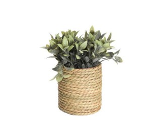 Τεχνητό φυτό Ι  Ø17xY22εκ.σε γλάστρα Ø11xΥ11,5εκ.