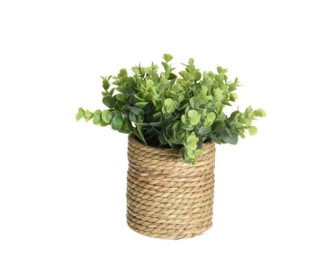 Τεχνητό φυτό ΙΙ  Ø17xY22εκ.σε γλάστρα Ø11xΥ11,5εκ.