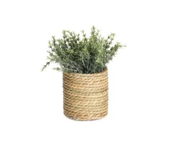 Τεχνητό φυτό ΙΙΙ  Ø17xY22εκ.σε γλάστρα Ø11xΥ11,5εκ.