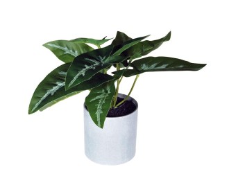 Φυτό τεχνητό φυλλόδεντρο 18εκ., σε γκρι πλαστικό γλαστράκι Ø8xΥ8εκ. Φυτό τεχνητό φυλλόδεντρο 18εκ., σε γκρι πλαστικό γλαστράκι Ø8xΥ8εκ.