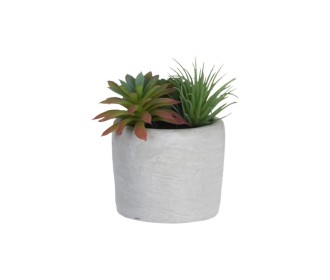 Φυτό τεχνητό παχύφυτα I 10εκ., σε κεραμικό γλαστράκι Ø7xΥ6,5εκ. Φυτό τεχνητό παχύφυτα I 10εκ., σε κεραμικό γλαστράκι Ø7xΥ6,5εκ.