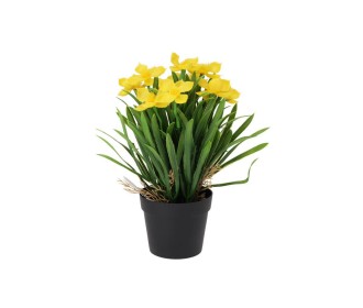 Μαργαρίτα κίτρινη τεχνητή Υ26x10x10εκ.  σε μαύρη γλάστρα