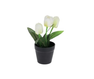 Τουλίπα λευκή τεχνητή Υ22x7x7εκ. σε μαύρη γλάστρα Τουλίπα λευκή τεχνητή Υ22x7x7εκ. σε μαύρη γλάστρα