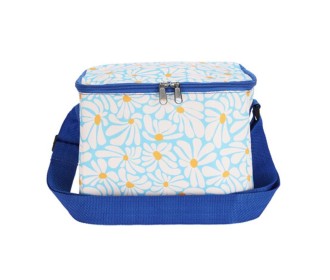Ισοθερμική τσάντα- ψυγείο 6 λίτρα μπλε Υ19x22,5x17εκ.