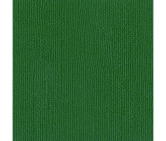 Χαρτόνι Bazzill 30cmx30cm 216g Classic Green Χαρτόνι Bazzill 30cmx30cm 216g Classic Green