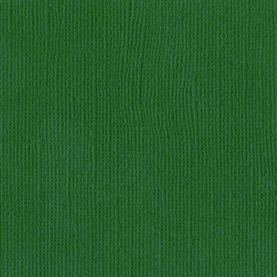 Χαρτόνι Bazzill 30cmx30cm 216g Classic Green Χαρτόνι Bazzill 30cmx30cm 216g Classic Green
