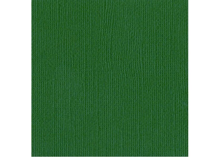 Χαρτόνι Bazzill 30cmx30cm 216g Classic Green Χαρτόνι Bazzill 30cmx30cm 216g Classic Green