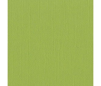 Χαρτόνι Bazzill 30cmx30cm 216g Parakeet Χαρτόνι Bazzill 30cmx30cm 216g Parakeet