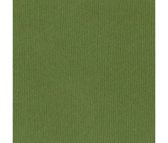 Χαρτόνι Bazzill 30cmx30cm 216g Nixon Χαρτόνι Bazzill 30cmx30cm 216g Nixon