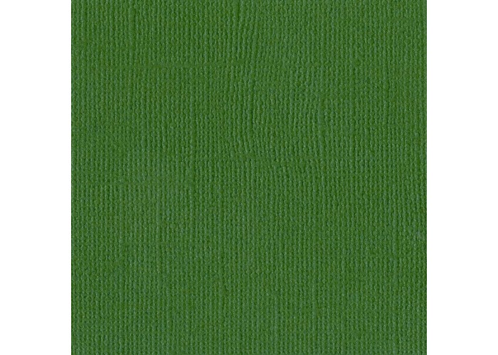 Χαρτόνι Bazzill 30cmx30cm 216g Green Χαρτόνι Bazzill 30cmx30cm 216g Green
