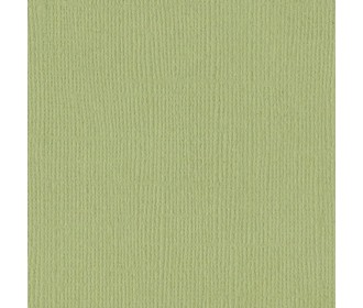 Χαρτόνι Bazzill 30cmx30cm 216g Pear Χαρτόνι Bazzill 30cmx30cm 216g Pear