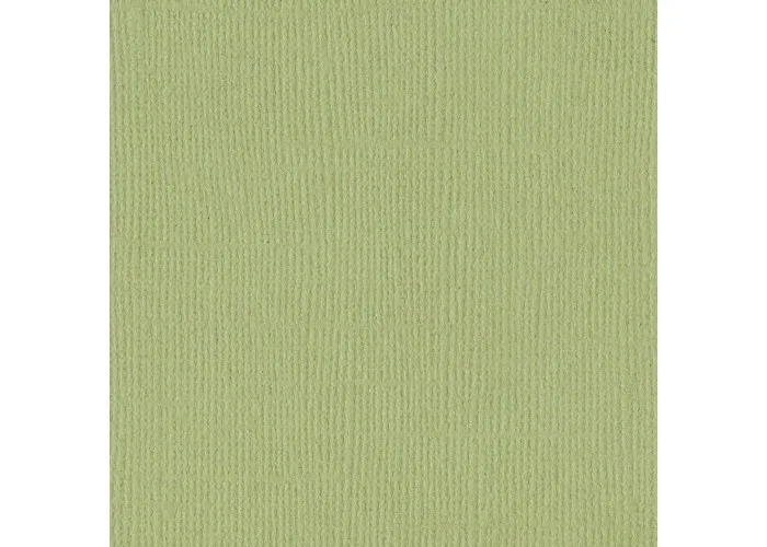 Χαρτόνι Bazzill 30cmx30cm 216g Pear