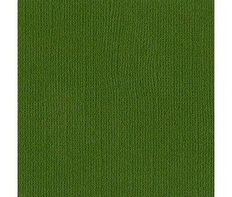 Χαρτόνι Bazzill 30cmx30cm 216g Ivy Χαρτόνι Bazzill 30cmx30cm 216g Ivy
