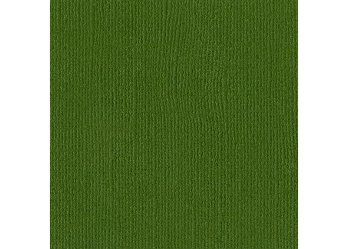 Χαρτόνι Bazzill 30cmx30cm 216g Ivy