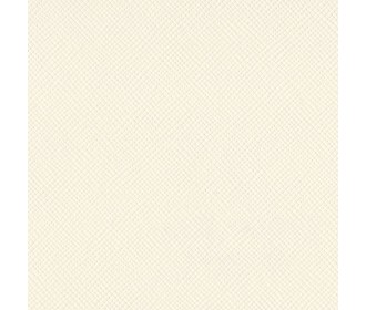 Χαρτόνι Bazzill 30cmx30cm 216g CreamPuff Χαρτόνι Bazzill 30cmx30cm 216g CreamPuff